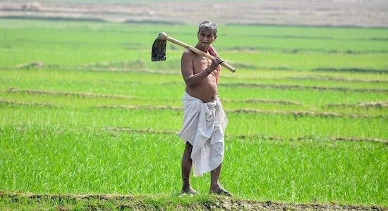 Www. Jobfairindia. Com agriculture pension scheme farmers news 5 11zon