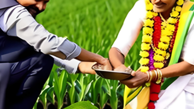 Www. Jobfairindia. Com kisan kalyan yojana 6 untitled design 16