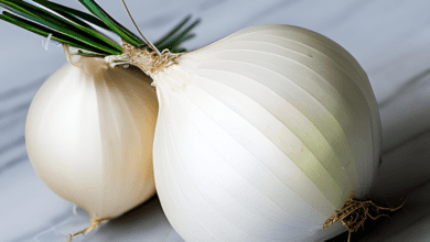 Www. Jobfairindia. Com white onion farming untitled design 24