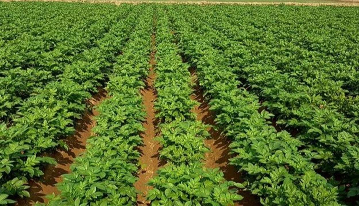 Success-story-1. Jpeg