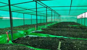 Vermicompost