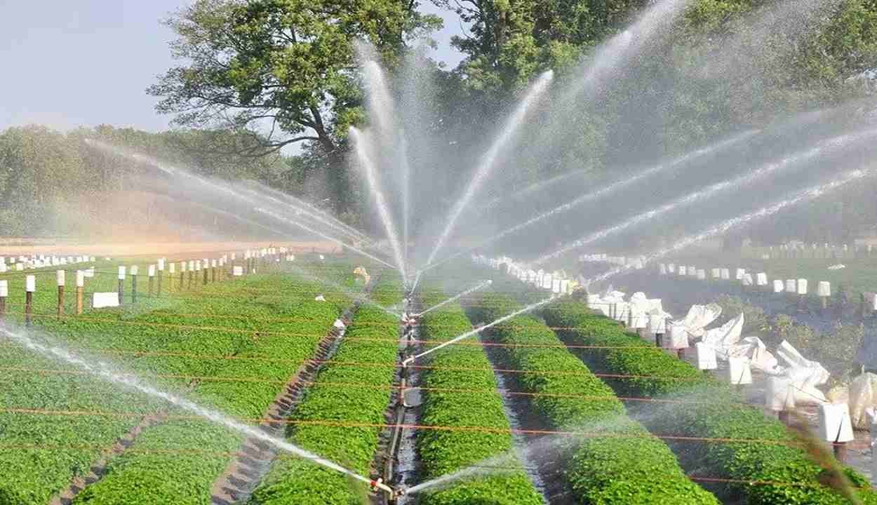 Micro irrigation community scheme
