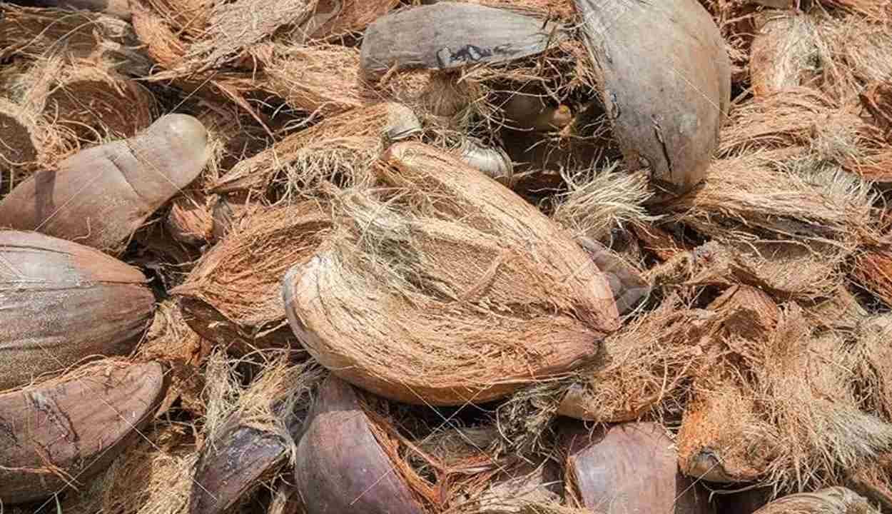 Coconut peel fertilizer