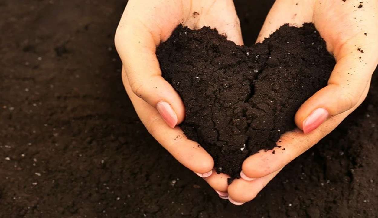 Use of humic acid in agriculture