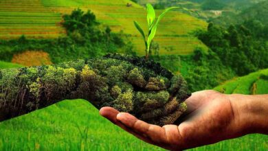 Natural farming