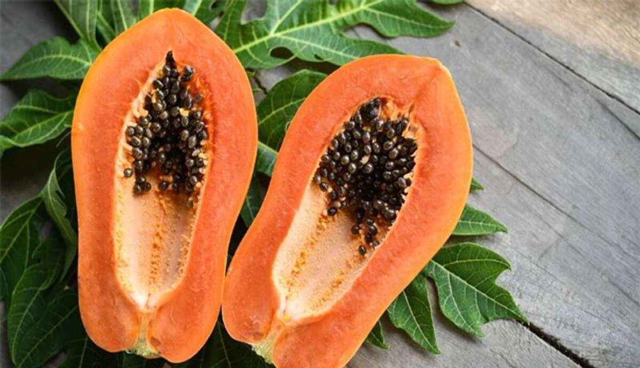 Papaya farming