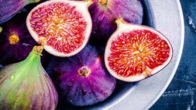 Anjeer farming tips