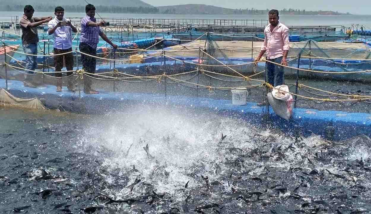 Chief minister fishermen welfare scheme