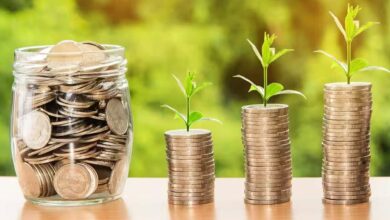 Lic smart pension plan