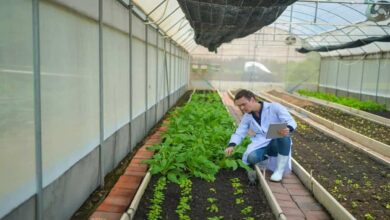 Subsidy for greenhouse farming
