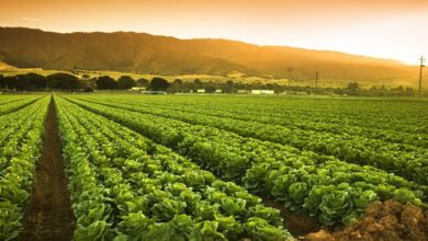 Agriculture tips