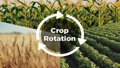 Crop rotation technology