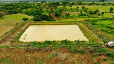 Farm pond scheme
