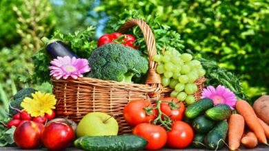 Integrated horticulture development mission