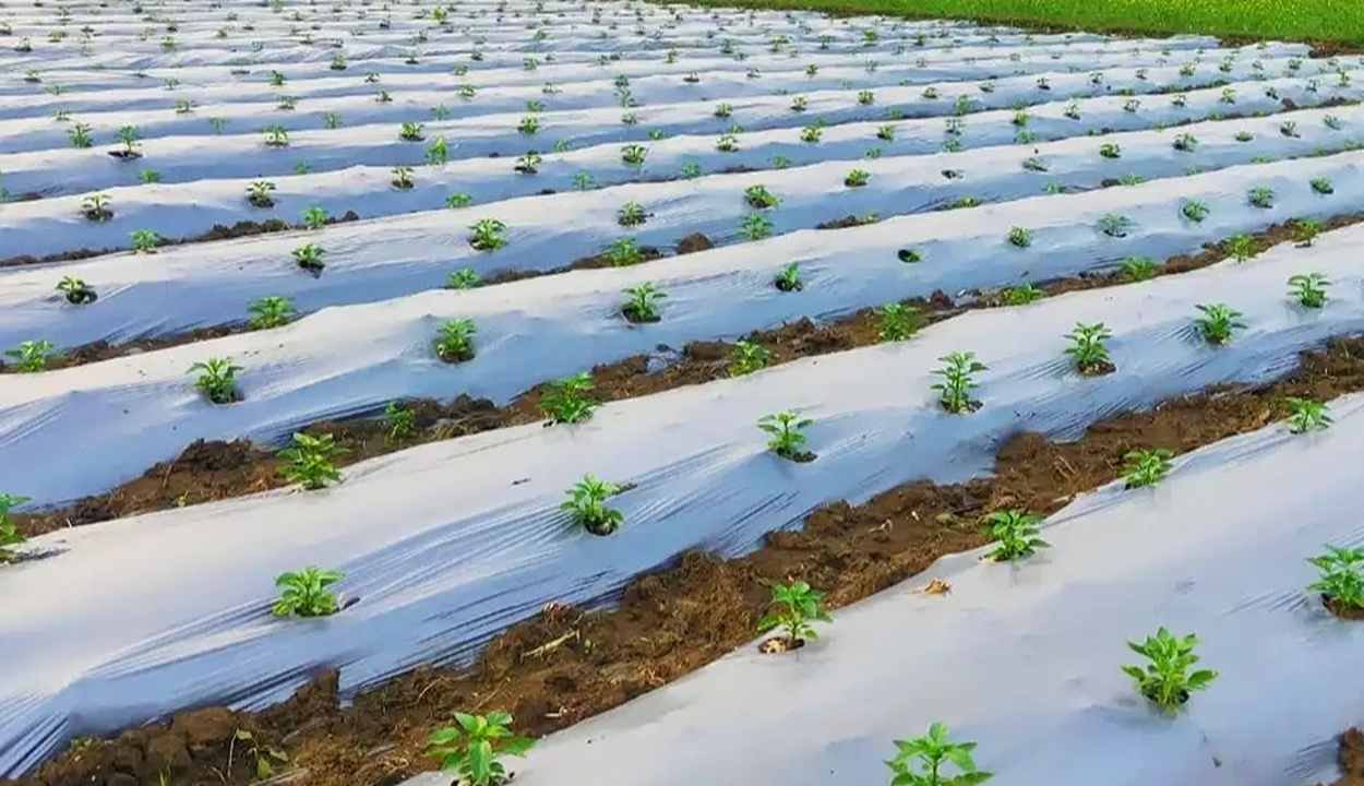 New farming technology