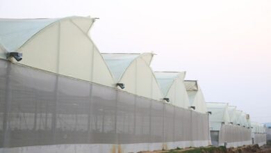 Shade net house scheme