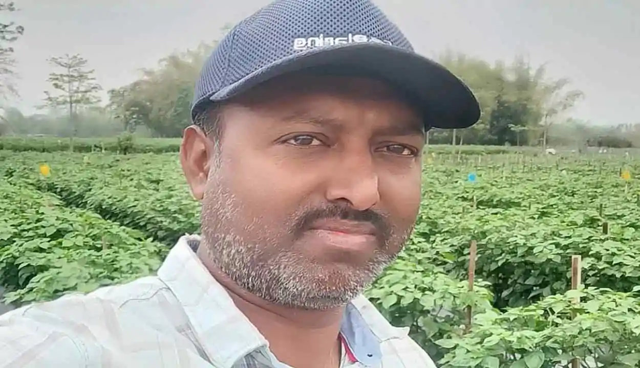 Success story