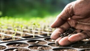 Agriculture news