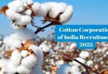 Ccil recruitment 2025