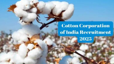 Ccil recruitment 2025
