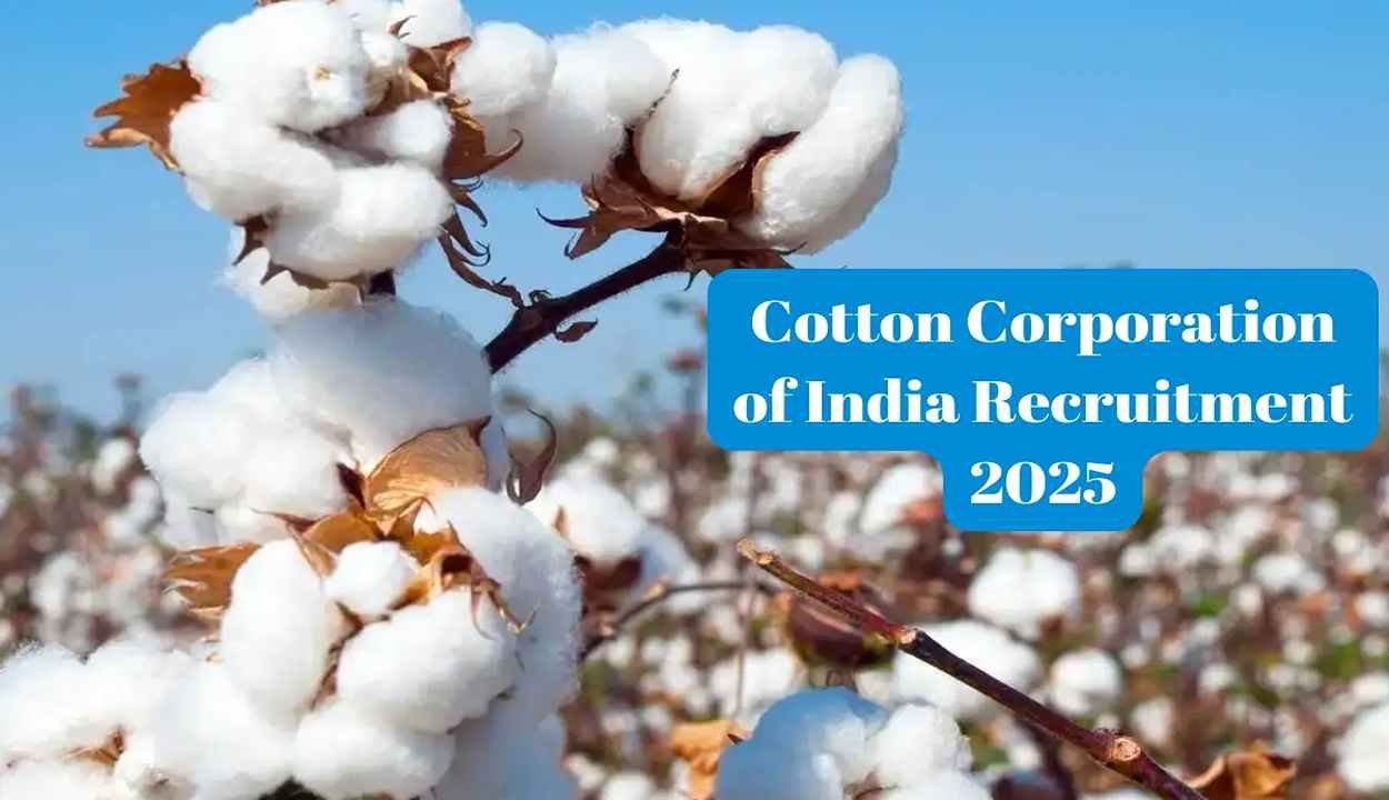 Ccil recruitment 2025