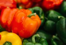 Colorful capsicum cultivation