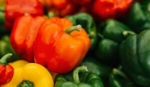 Colorful capsicum cultivation