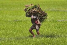 Farmer pension scheme