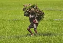 Farmer pension scheme