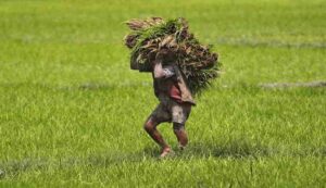Farmer pension scheme
