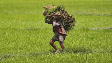 Farmer pension scheme