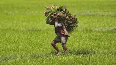 Farmer pension scheme