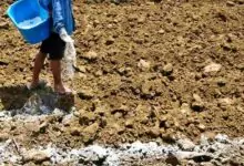 Gypsum subsidy