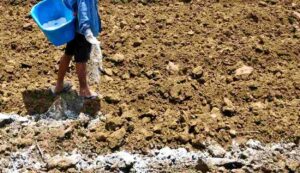 Gypsum subsidy