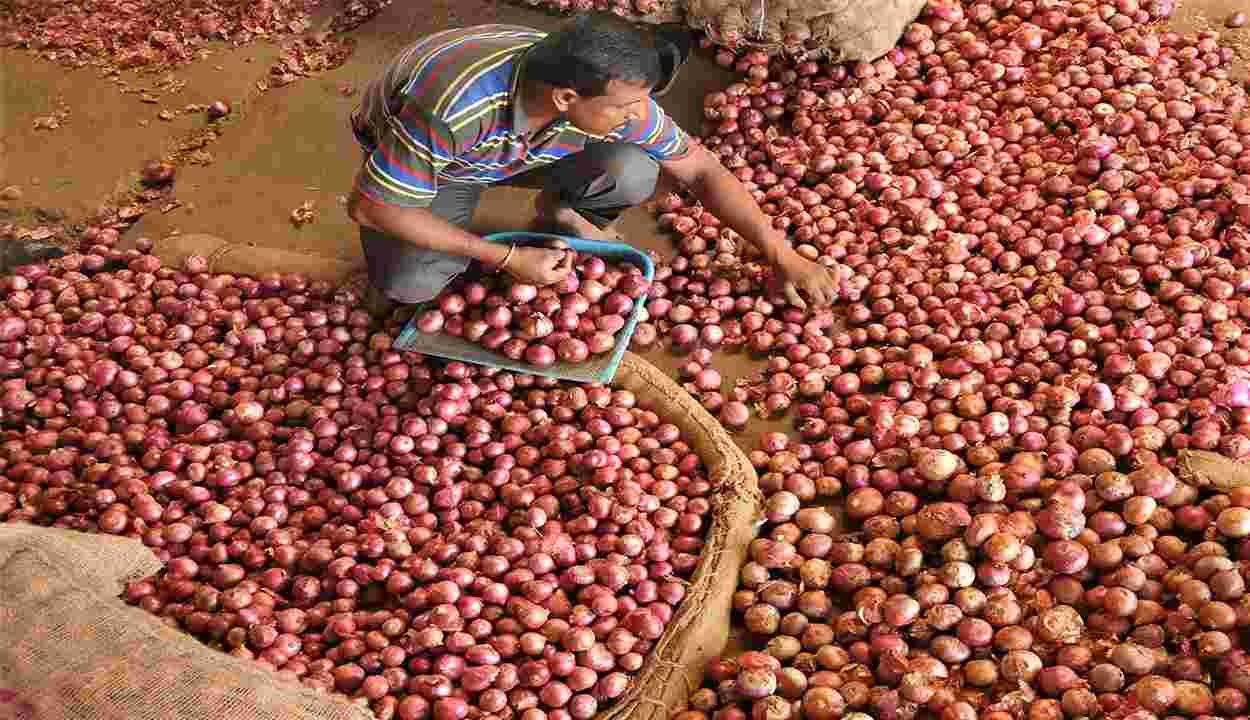 Onion storage subsidy