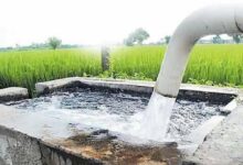Rajasthan agriculture scheme