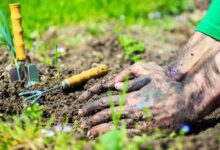 Soil preparation