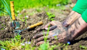 Soil preparation