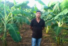 Success story