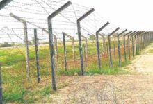Tarbandi scheme 2025