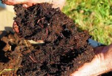 Vermi compost subsidy