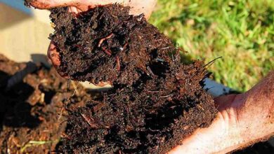 Vermi compost subsidy