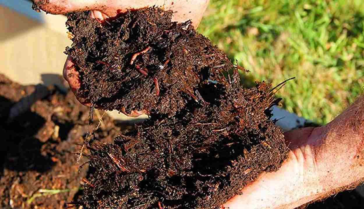 Vermi compost subsidy