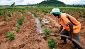 Land reform program