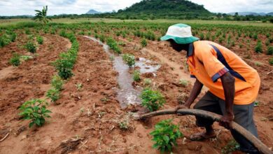 Land reform program