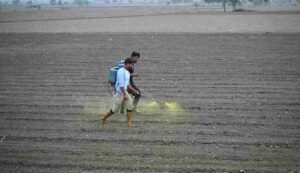 Bihar government pest management scheme