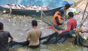 Sightseeing program plan