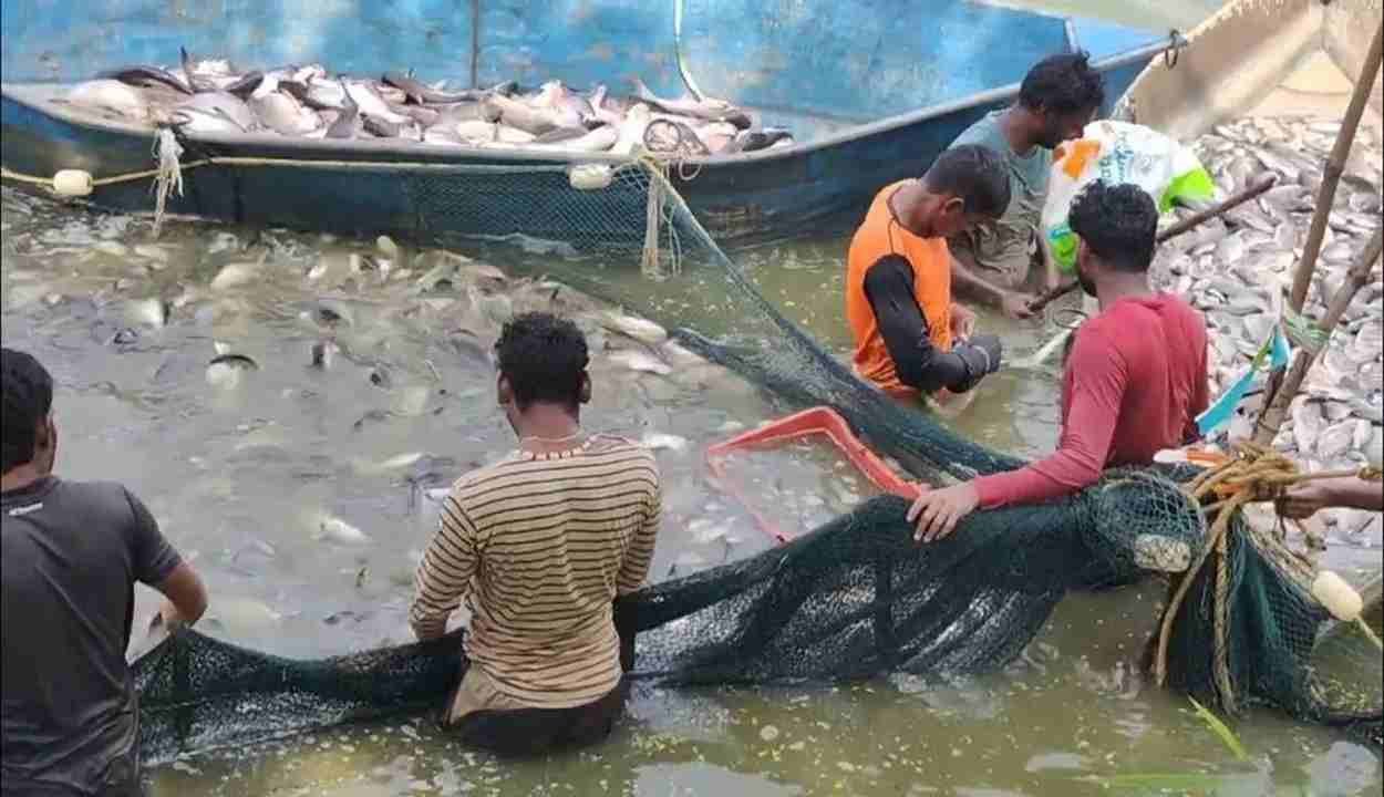 Sightseeing program plan