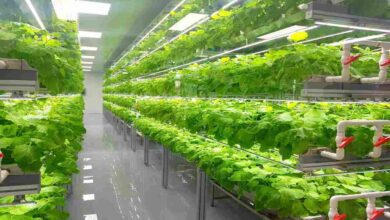 Vertical farming