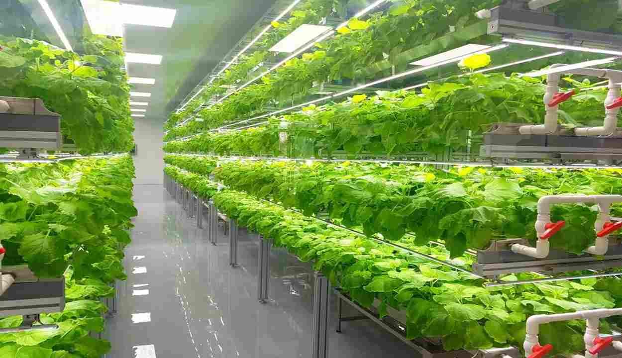 Vertical farming